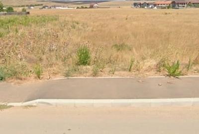 Teren agricol intravilan de 4986 mp, în Schela Cladovei - 3