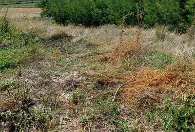 Teren Construcții intravilan de 4371 mp, în Copăcelu - 6