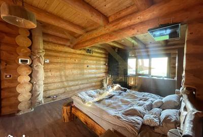 Casă cu 9 camere cu Piscina în Grădiștea - 9