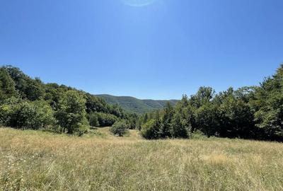 Teren de 45809 mp, în Mădrigești - 8