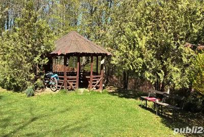 Vand 2 case (duplex) in Pitesti si 1875 mp teren - 4