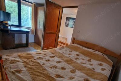 Casă cu 3 camere cu Teren 1493 Mp în Orăști - 1