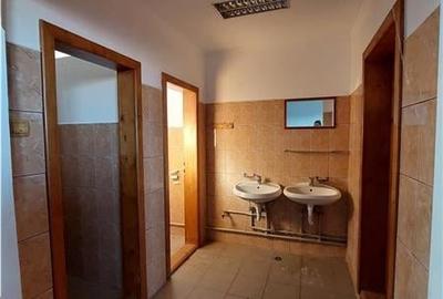 Hala de depozitare in Arad Sud - 6