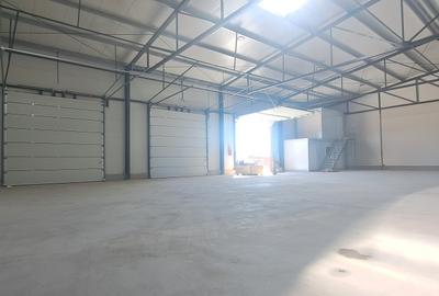 Drumul intre Tarlale, sector 3, hala 590 mp - 1