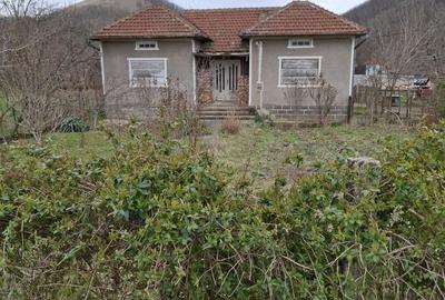 Casa 3 camere, bucatarie, baie , beci , teren 2500mp , Subcetate, Hunedoara - 1