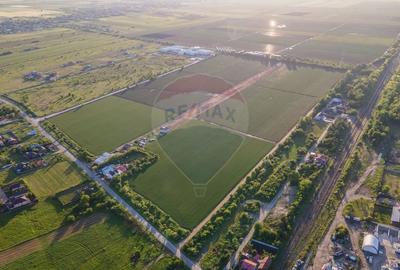 Teren 70,000mp Targoviste / Strada Dentas - 5