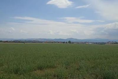Teren de 400 mp, în Central - 5
