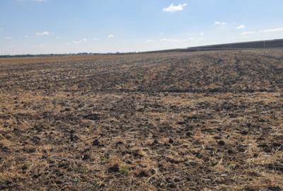 TEREN EXTRAVILAN 7.802 mp DOMNESTI, ILFOV - 2