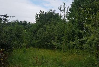Teren de 1000 mp, în Bucium - 3