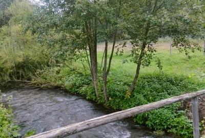 Teren de 1500 mp, în Mitocu Dragomirnei - 5