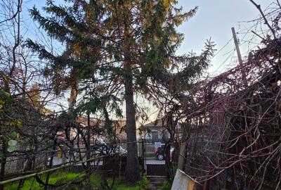 Damaroaia 4 camere casa veche - 1