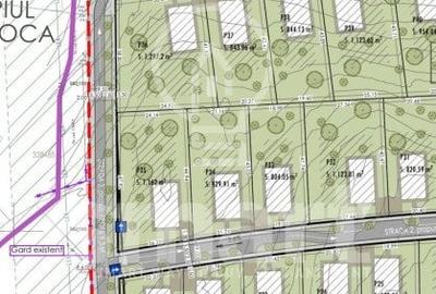 Teren Construcții intravilan de 1586 mp, în Făget - 2