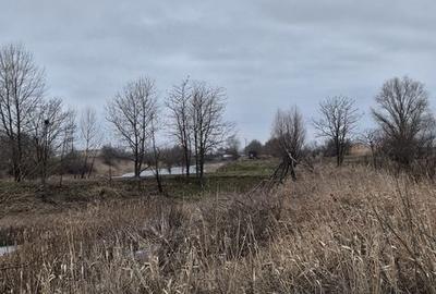 Teren de 110000 mp, în Petrești - 8