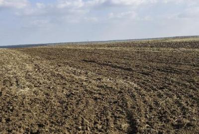 Teren de 3000 mp, în Vârvor - 5