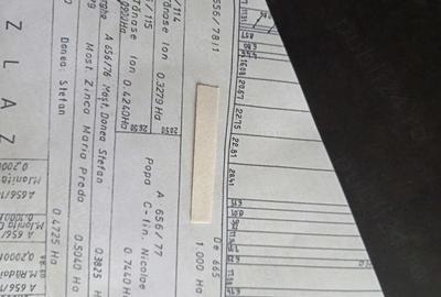 Teren de 10000 mp, în Găgeni - 1