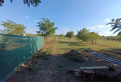 Casa de vanzare - 5