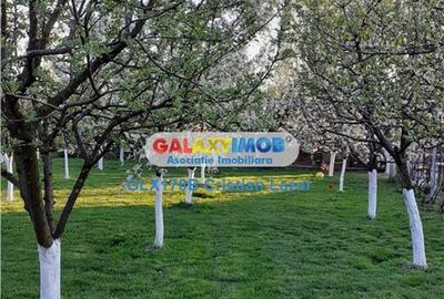 Casă cu 5 camere cu Teren 3190 Mp în Răcari - 5