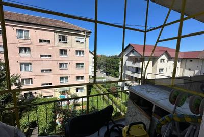 Apartament cu 3 camere, decomandat, Valea Aurie - 11