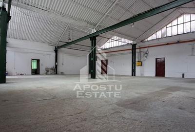 Spatiu industrial multifunctional 400 mp utili - 11