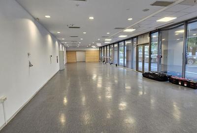 Pantelimon spatiu comercial 950 mp - 1