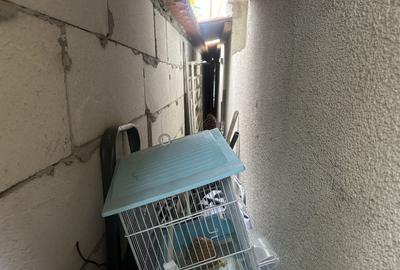 Casa / Vila zona Coiciu - 8