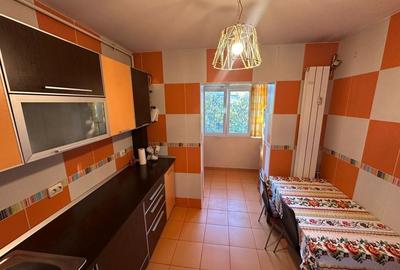 Apartament 2 camere decomandat mobilat și utilat Gorjului / N-uri A500 Apartament 2 camere decomandat mobilat și utilat Gorjului / N-uri A500 - 9