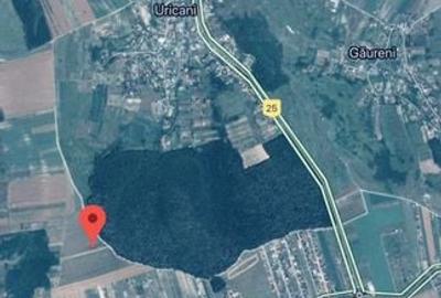 Teren de 800 mp, în Miroslava - 1