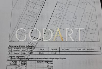 Teren Construcții intravilan de 5291 mp, în Viforâta - 2