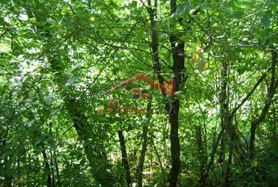 Teren de 2276 mp, în Vest