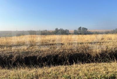 Teren Construcții intravilan de 2500 mp, în Bucovăț - 2