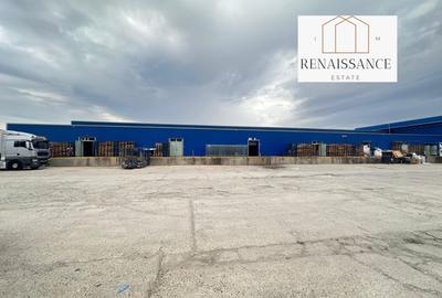 3 Hale Clasa A | 11.250mp Construiti 25.450mp Teren | Freidorf - 9