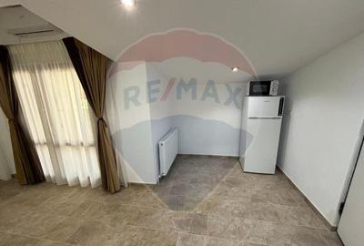 Apartament 2 camere cu terasa Gara de nord - 2