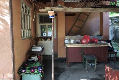 Casă cu 5 camere cu Teren 4000 Mp în Central - 8