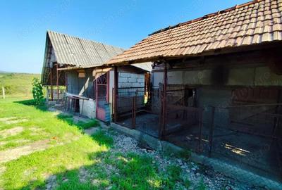 Casă cu 2 camere cu Teren 4600 Mp în Calea Mare - 17
