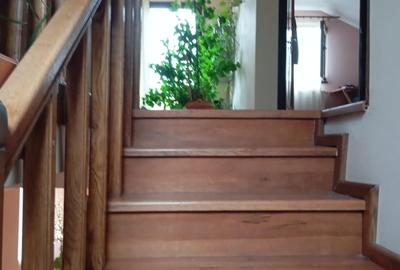 Casa cu 4 camere in Lunca Cetatuii - 4