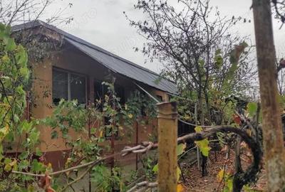 Casă cu 4 camere în Saraiu - 5