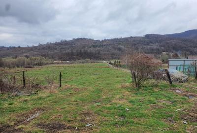 Teren agricol extravilan de 6300 mp, în Cheile Râșnoavei - 2