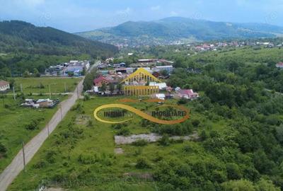 Teren pentru constructie hala indrustriala - Moinesti/Bacau - 2