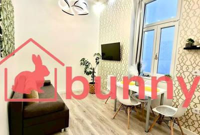 Apartament cu 2 camere în Parcul Carol - 4