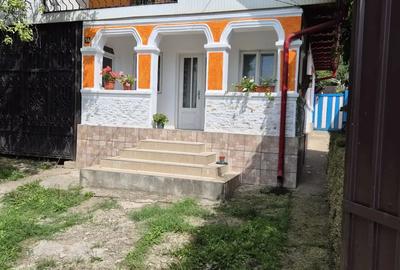 Casă cu 3 camere în Coman - 3