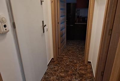 Garsonieră decomandată în Turnișor - 1