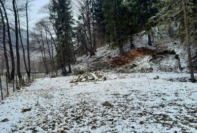 Teren de 10000 mp, în Vad - 3