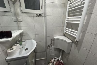 Garsoniera Pantelimon Pet Friendly - 5