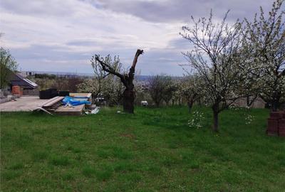 RECO Teren intravilan in Oradea zona Dealuri 1000 mp cu util - 2