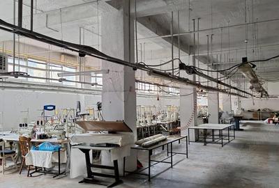 Hala industriala 870 mp, Re?i?a, Cara? Severin - 5