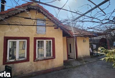 Casă cu 3 camere decomandat cu Canalizare în Viile Noi - 4