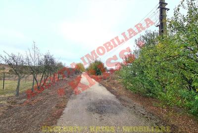 TEREN 21579 Mp. Curs Construc?ii + 4 Anexe La 35 Km Pite?ti - Buzoe?ti Stradal Ferma TEREN 21579 Mp. Curs Construc?ii + 4 Anexe La 35 Km Pite?ti - Buzoe?ti Stradal Ferma - 2