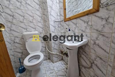 Apartament cu 3 camere decomandat, mobilat în Calea Severinului - 10