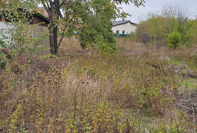 Domnești- Str.Fortului, 742mp, gaze, lumină - 2