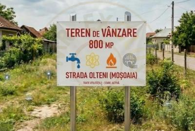 Teren în Moșoaia - 1
